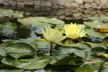 Similar image 11497687