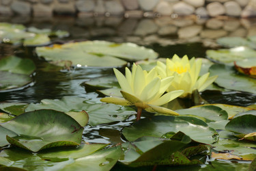 Similar image 11497688