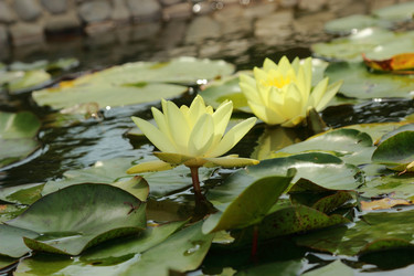 Similar image 11497804