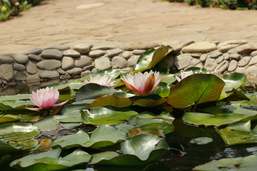 Similar image 11497705