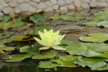 Similar image 11497706