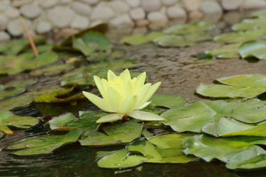 Similar image 11497724