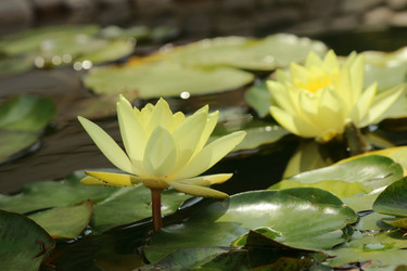 Similar image 11497725