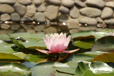 Similar image 11497727