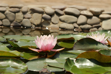 Similar image 11497782