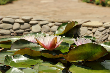 Similar image 11497783