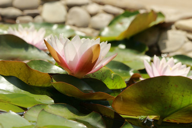 Similar image 11497746