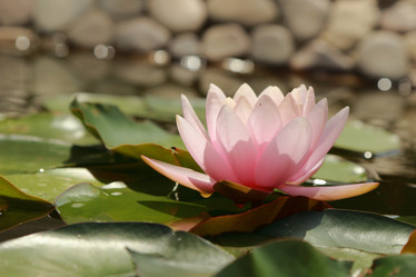 Similar image 11497748