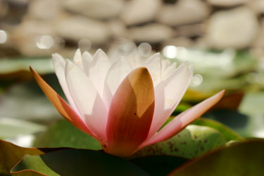 Similar image 11497766