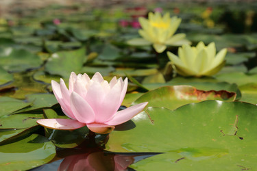 Similar image 11497767