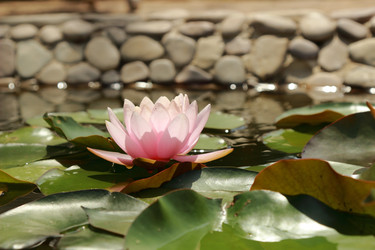 Similar image 11497768