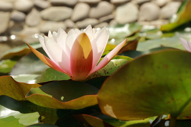 Similar image 11497995