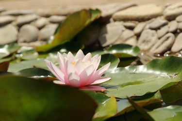 Similar image 11497996