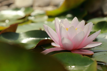 Similar image 11497895