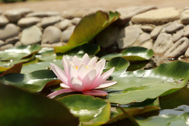 Similar image 11497879