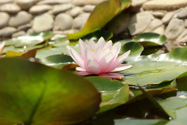 Similar image 11497880