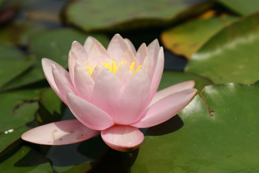 Similar image 11497918