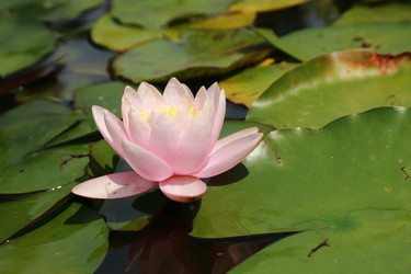 Similar image 11497919