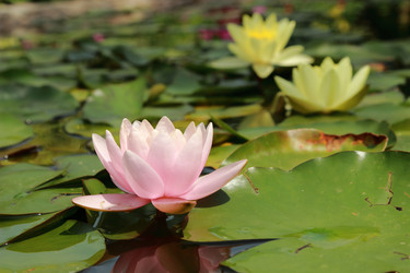 Similar image 11497935