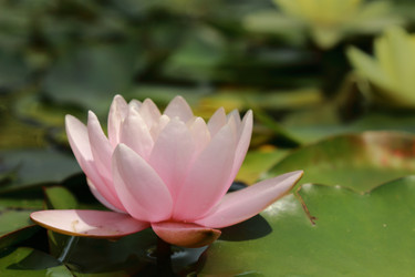 Similar image 11497955