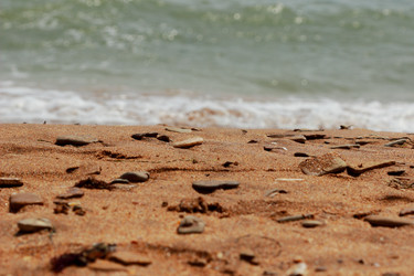 Similar image 11501641