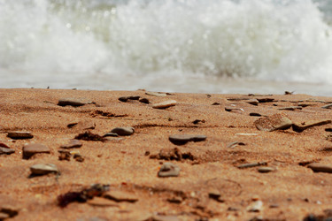 Similar image 11501642