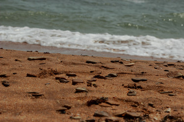 Similar image 11501659