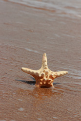 Similar image 11501777