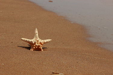 Similar image 11501799