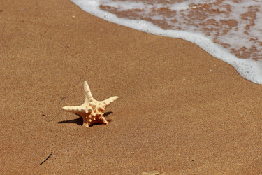 Similar image 11501800