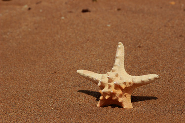 Similar image 11502339