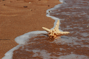 Similar image 11502373