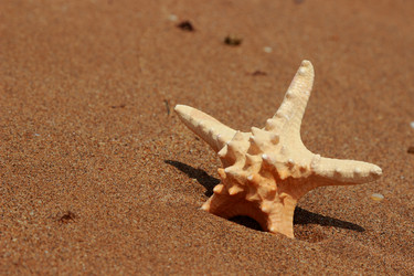 Similar image 11502354