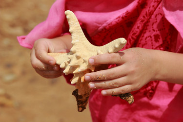 Similar image 11502355