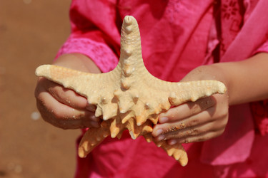 Similar image 11502356