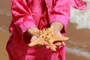 Similar image 11502535