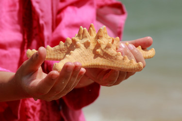 Similar image 11502398