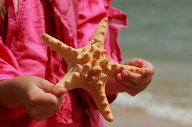 Similar image 11502517