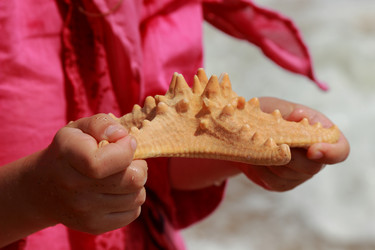 Similar image 11502518