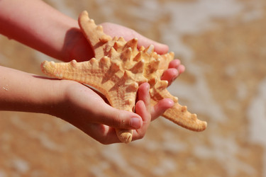 Similar image 11502519