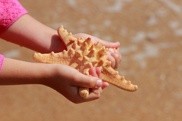 Similar image 11502520