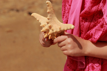 Similar image 11502498