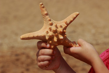 Similar image 11502499