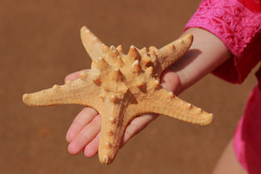 Similar image 11502473