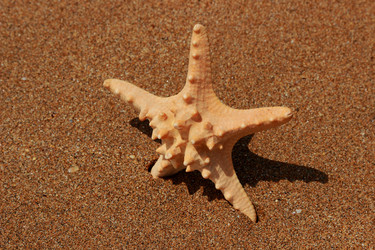 Similar image 11502457