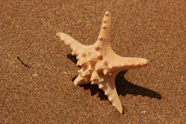 Similar image 11502458