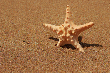 Similar image 11502459