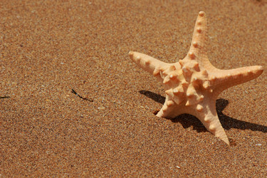 Similar image 11502461