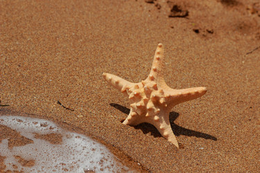 Similar image 11502434