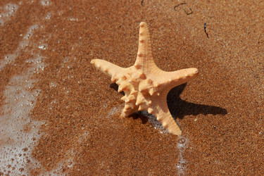 Similar image 11502435